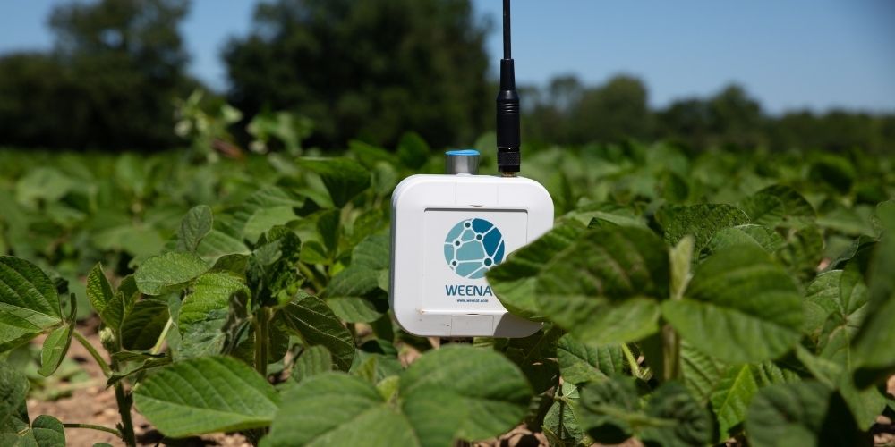 Fonctionnement d'une sonde tensiométrique pour piloter l'irrigation en agriculture