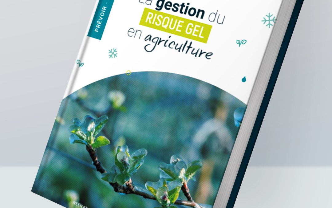 Le guide ultime pour faire face aux gelées de printemps