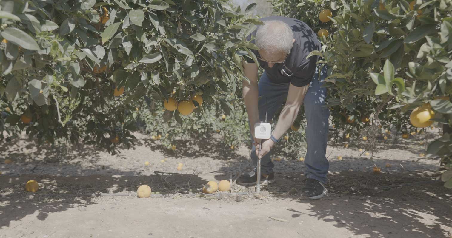 Riegos de Lorca – Tensiometricos Tensiometricos con Riegos de Lorca