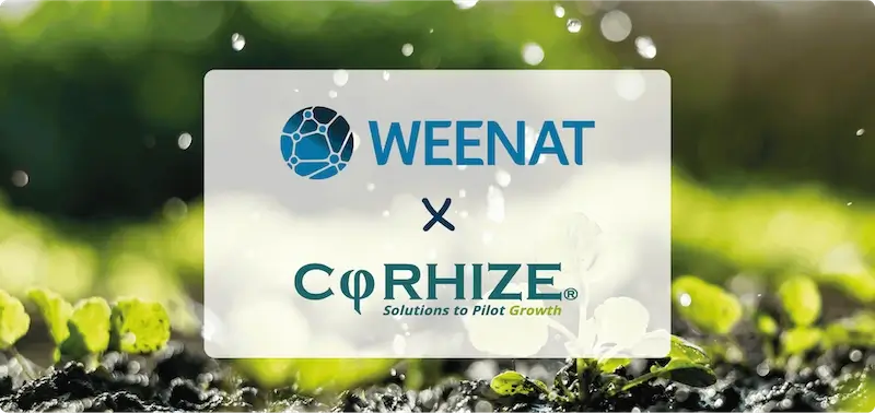 Weenat acquires CoRHIZE, and remains a leader in irrigation in France and Europe