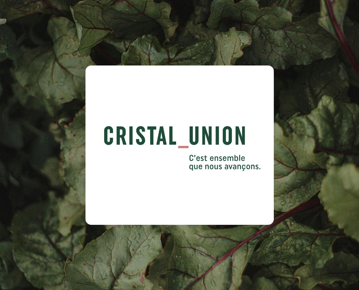 Cristal Union Logo