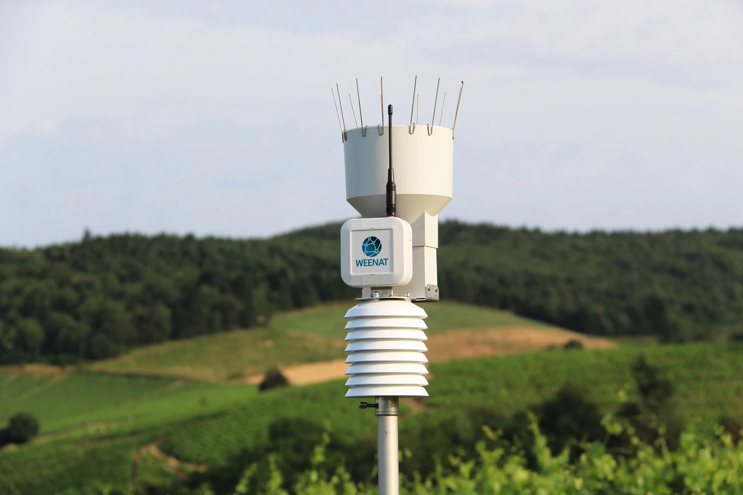 Der vernetzte Regenmesser von Weenat hilft Landwirten dabei, die richtigen Entscheidungen für ihre Kulturen zu treffen.
