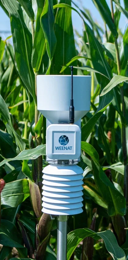 Station météo Weenat