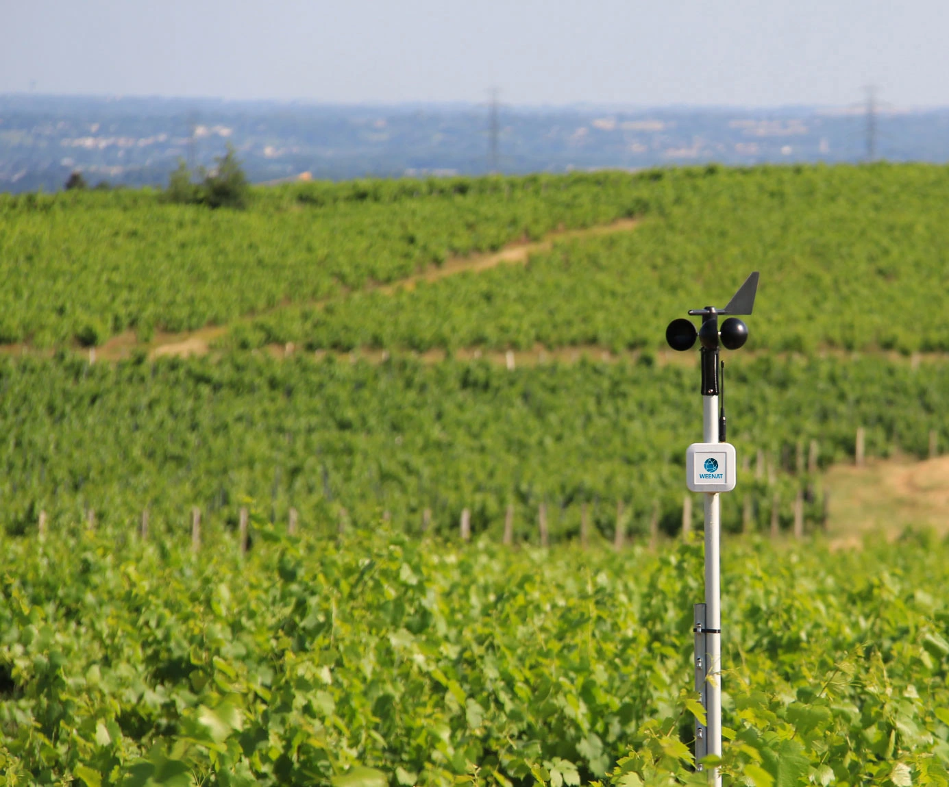 anemometre-weenat-viticulture Accédez à l'historique des températures sur votre parcelle depuis l'application Weenat