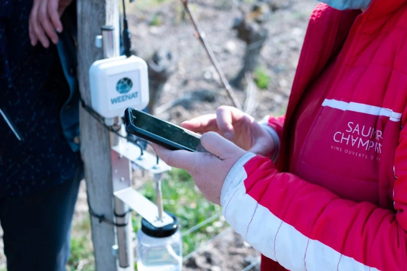 Frost Sensor Weenat - Saumur Champigny