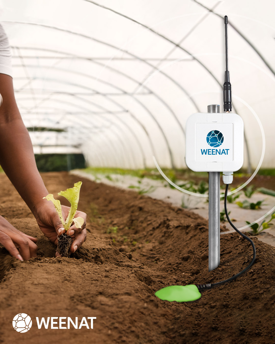 Sonde capacitive Aquacheck Weenat