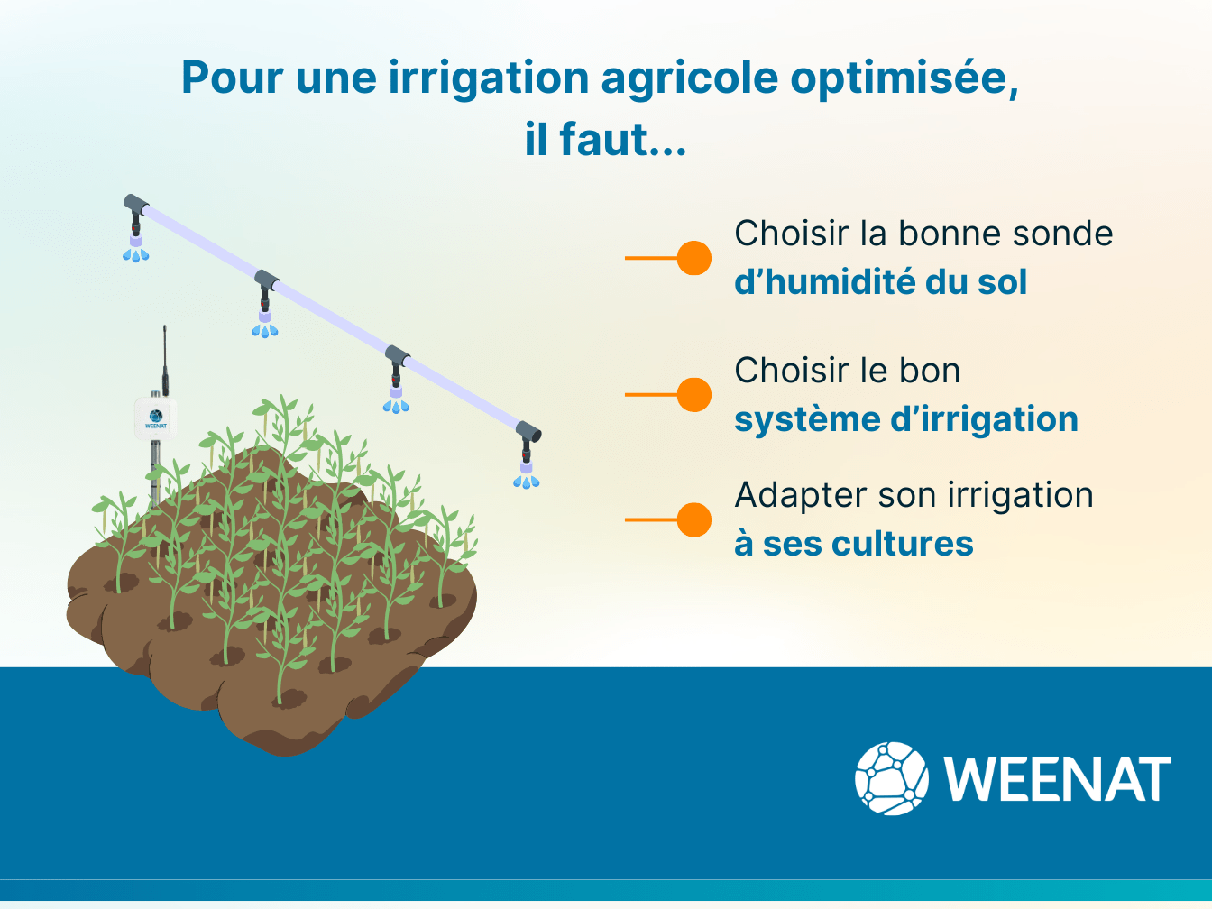 irrigation-agricole Les solutions pour une irrigation agricole optimisée