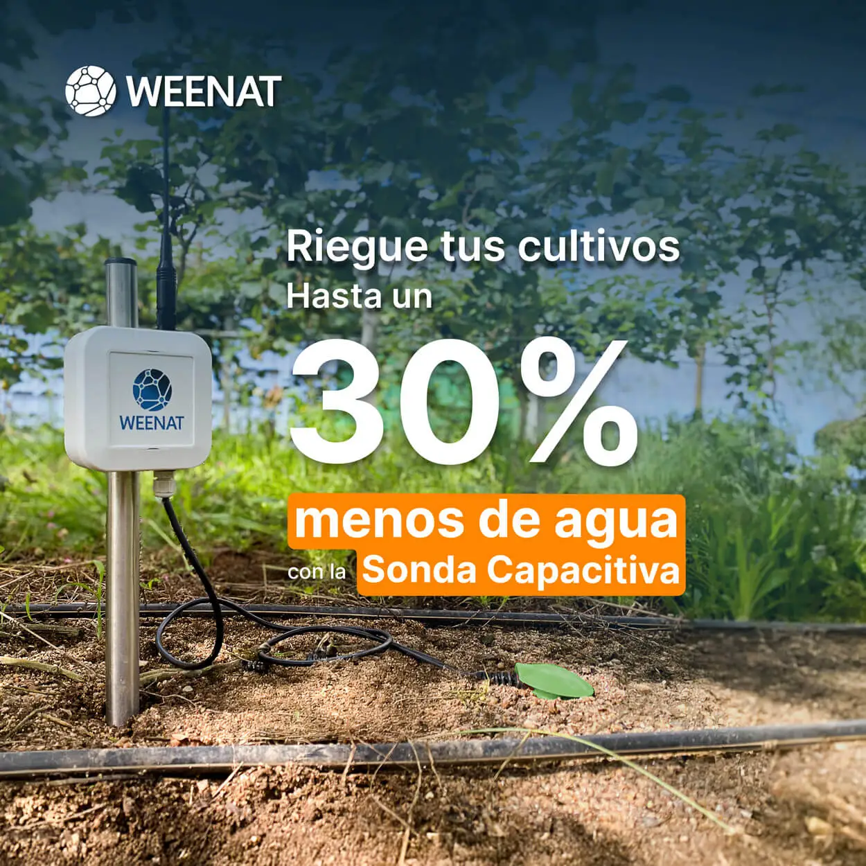 con la sonda capacitiva riegue tus cultivos hasta 30% menos de Agua