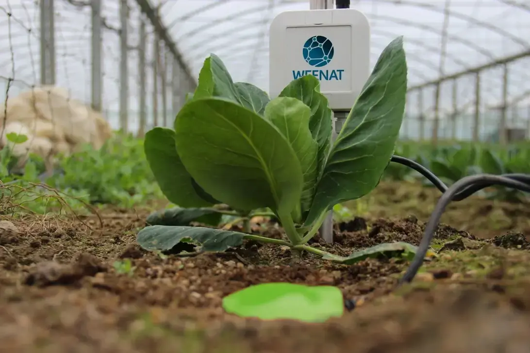 Kapazitiver Sensor Weenat