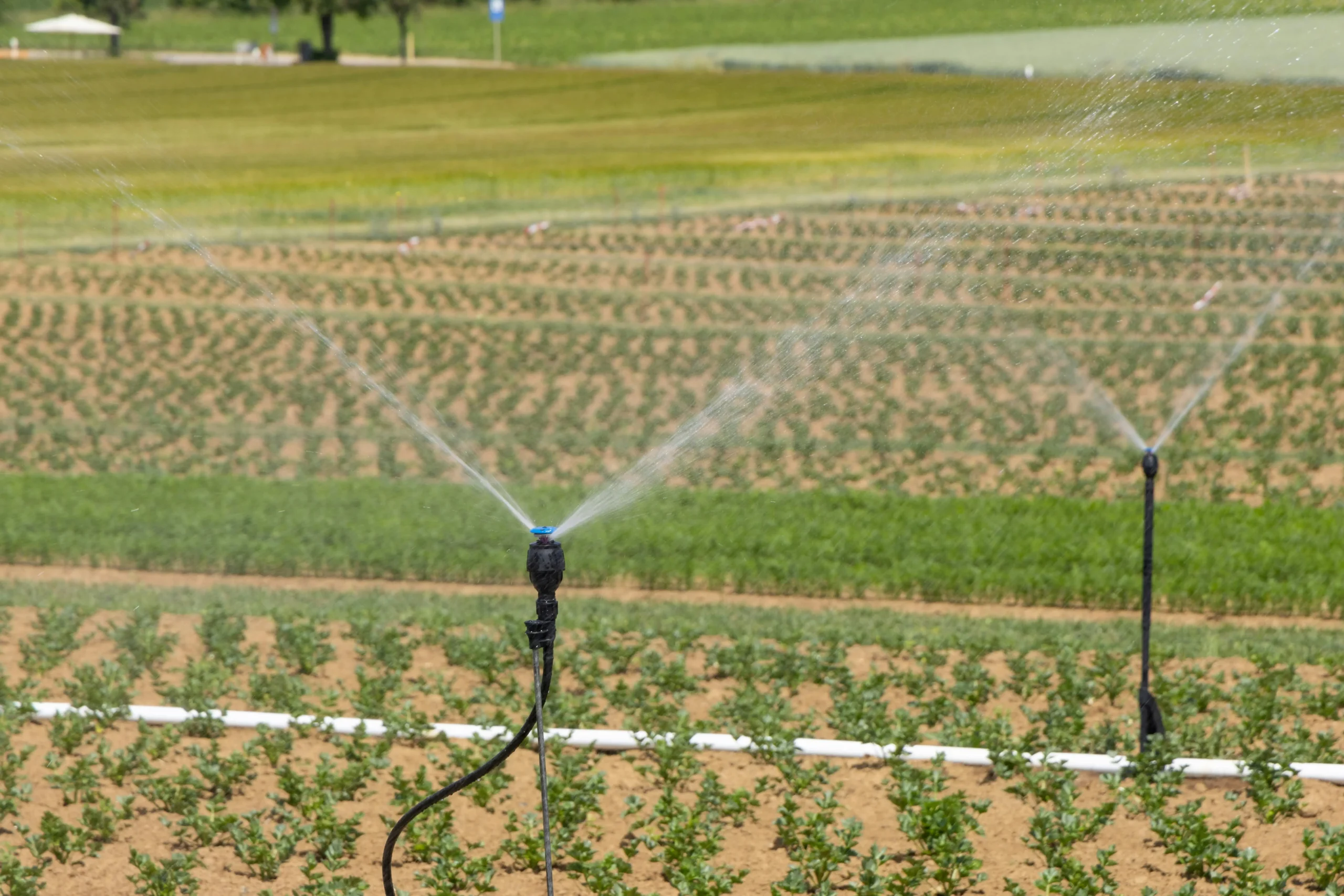 Le système d'irrigation par aspersion