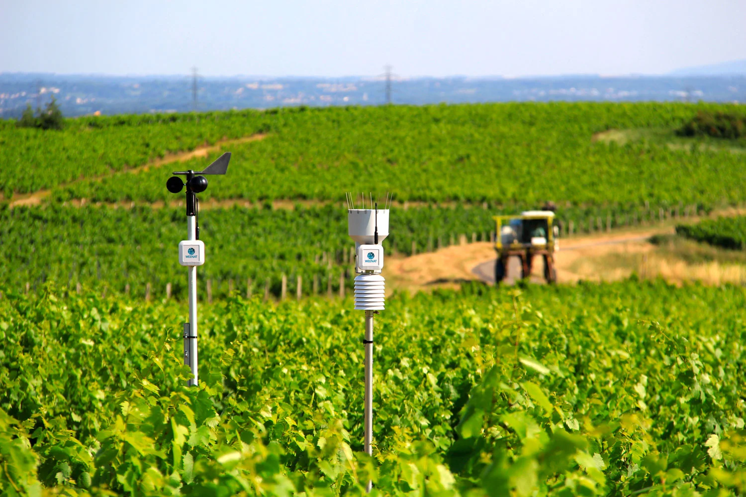 Wetterstation und Windmesser von Weenat in den Weinbergen