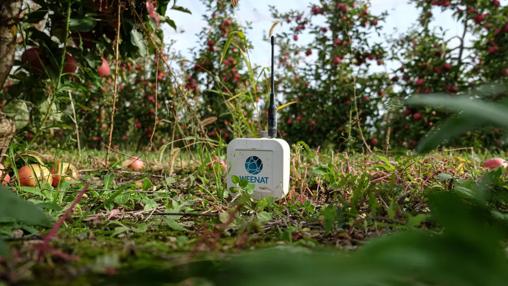 Tensiomètre Weenat dans un vergers