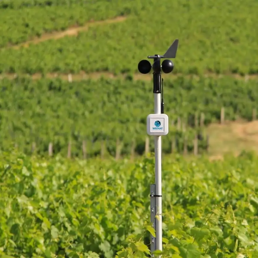 Vernetzter Windmesser Weenat zoom