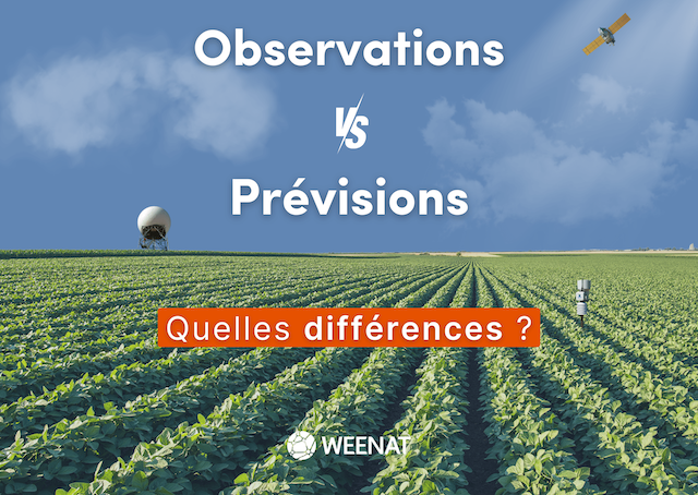 Observations VS prévisions météorologiques : que faut-il privilégier pour vos décisions agricoles ? 