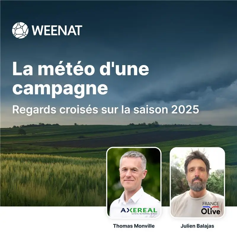 Bilan de la campagne agricole 2025 : entre pluie et chaleur, regards croisés d’experts 