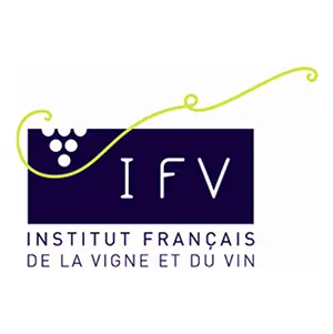 logo-ifv