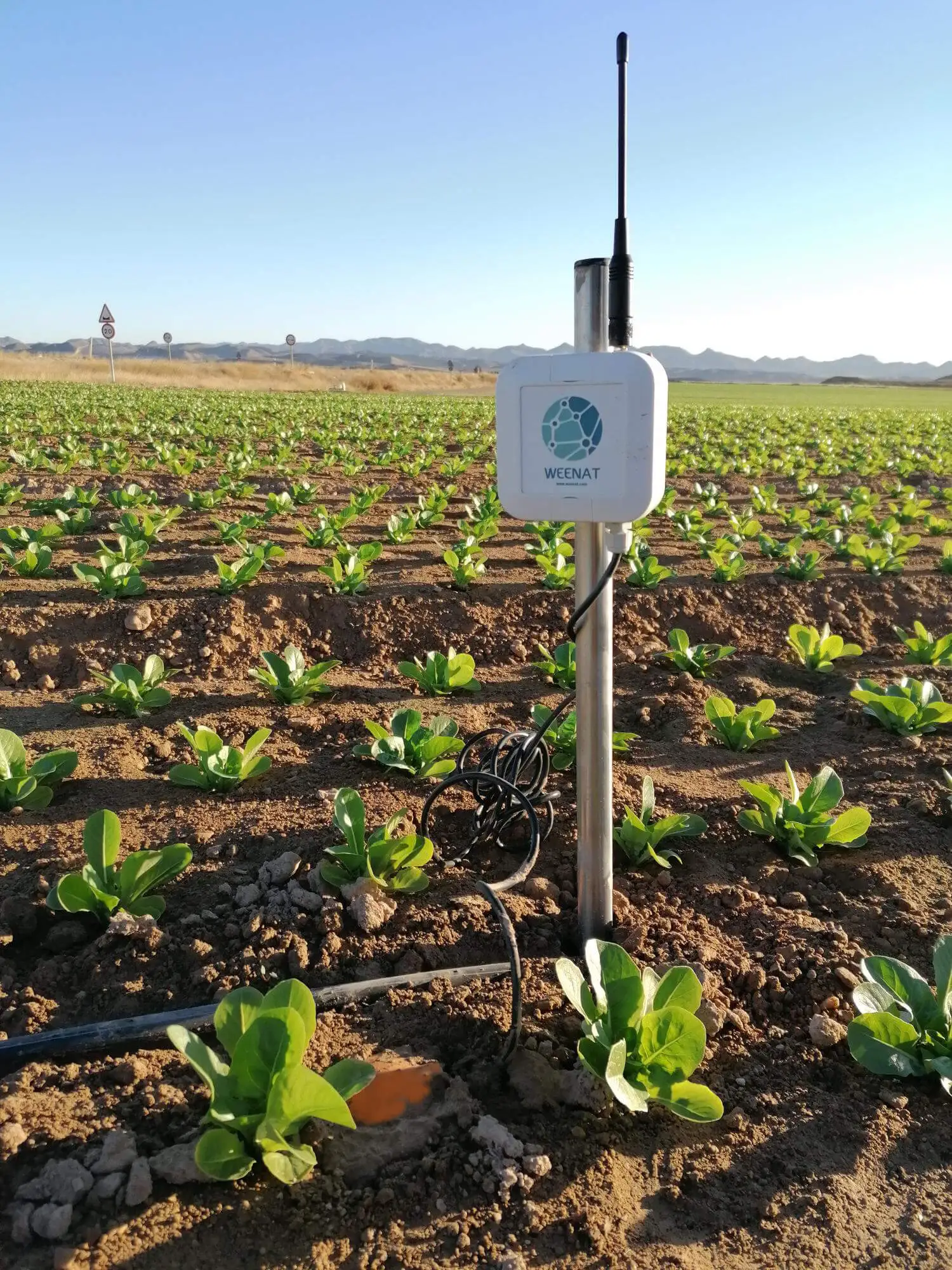 La sonde capacitive connectée Weenat facilite le pilotage de l'irrigation