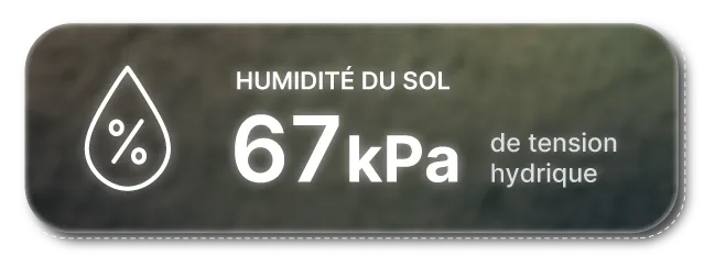 Humidité du sol 2