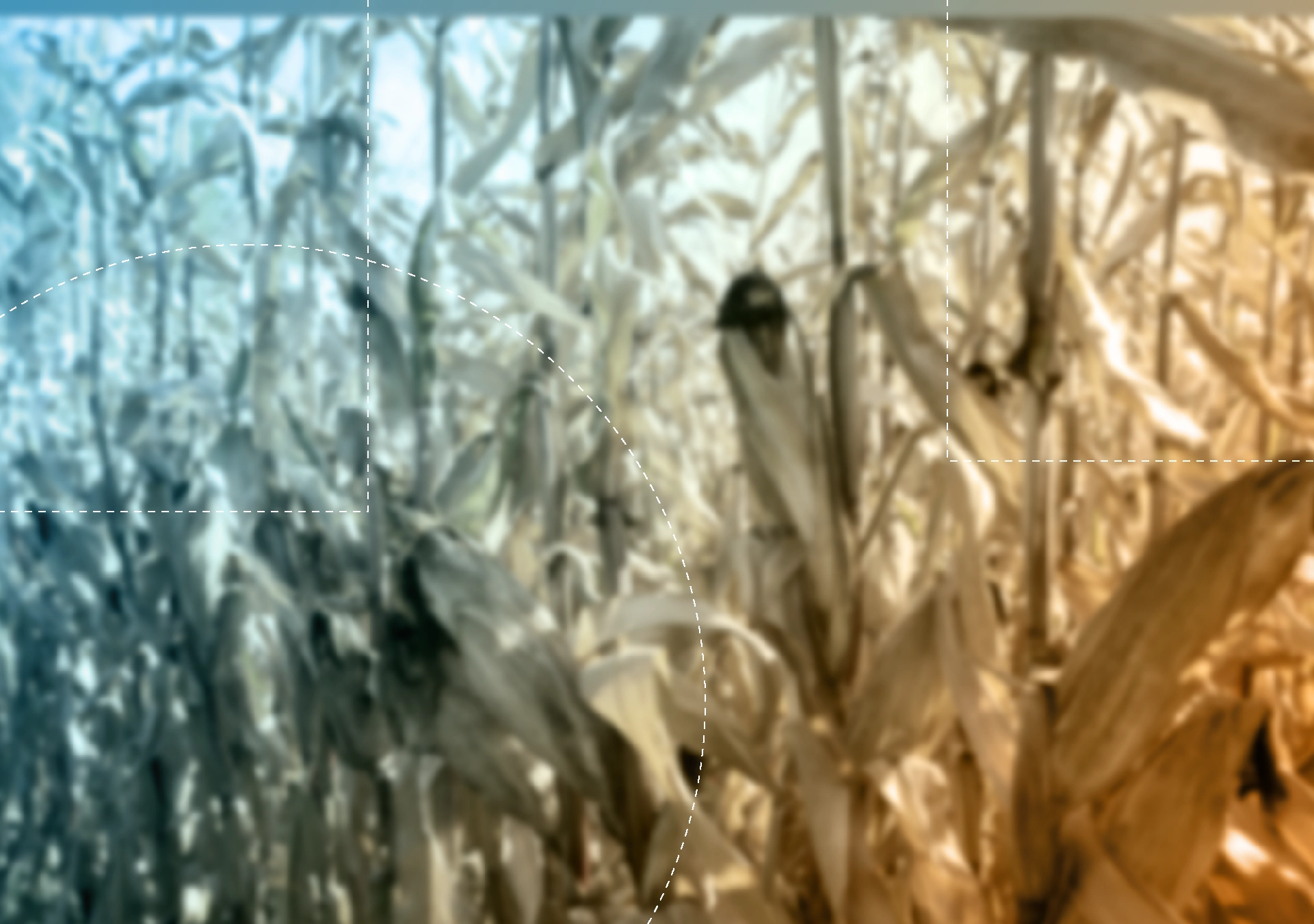 Secheresse performance agricole weather measures