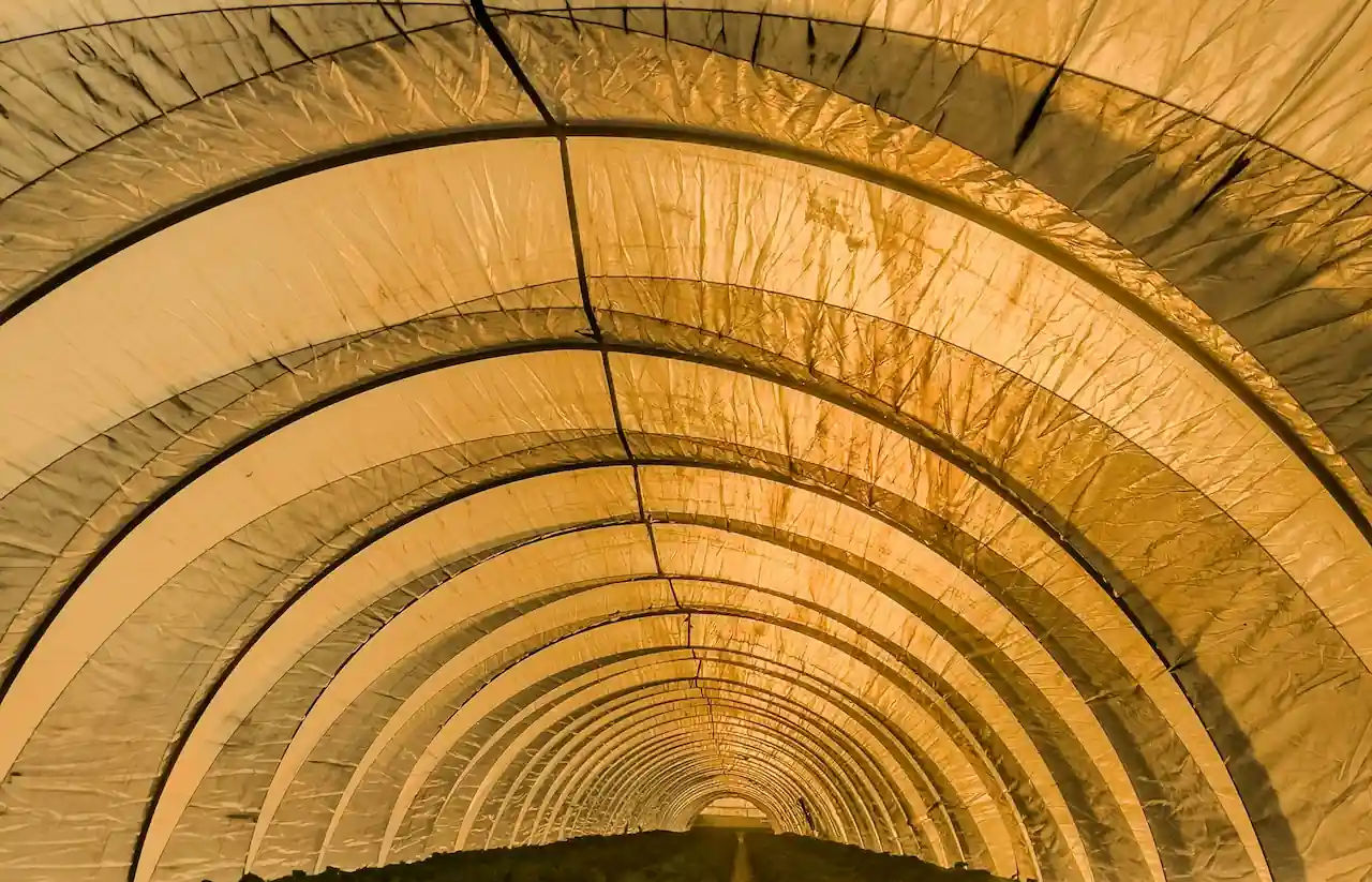 Tunnel Agriculture